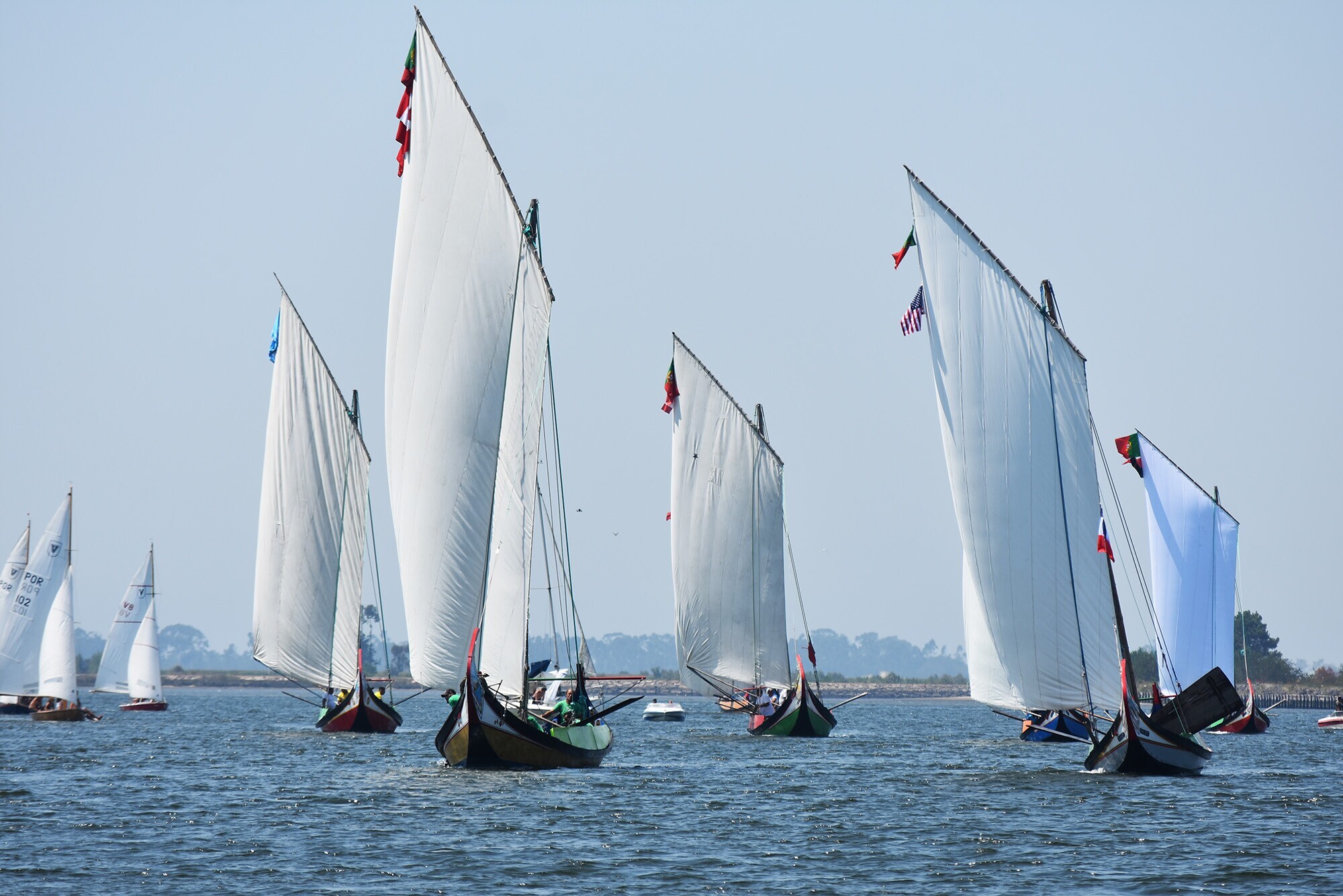  MARCO SILVA E RUI OLIVEIRA FORAM OS GRANDES VENCEDORES DA REGATA DE MOLICEIROS DA FESTA DO EMIGR...